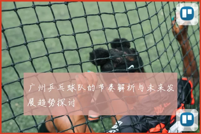 广州乒乓球队的节奏解析与未来发展趋势探讨