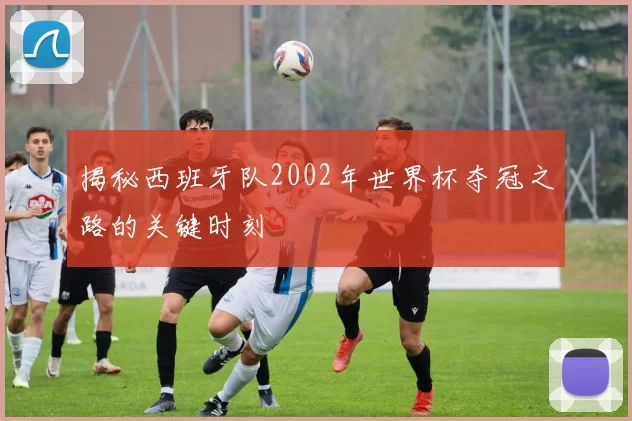 揭秘西班牙队2002年世界杯夺冠之路的关键时刻