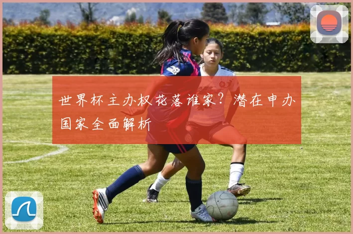 世界杯主办权花落谁家?潜在申办国家全面解析