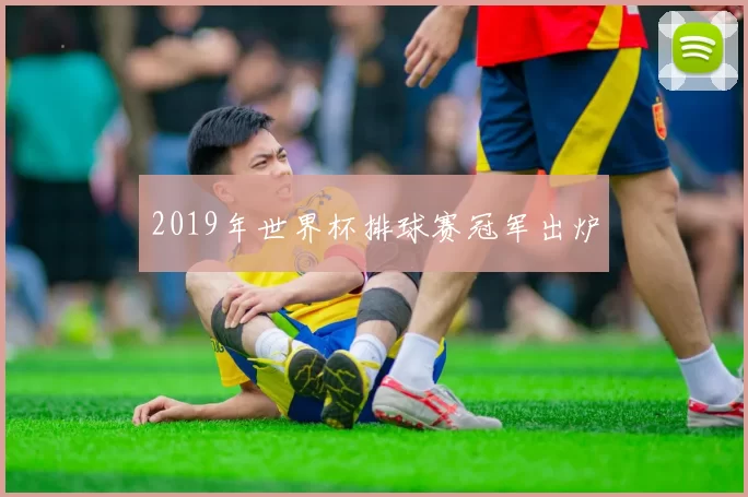 2019年世界杯排球赛冠军出炉