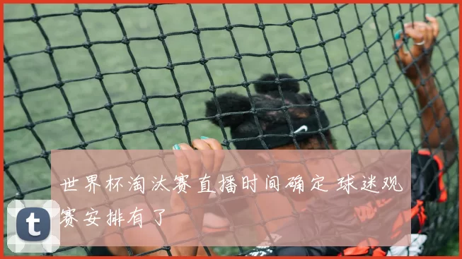 世界杯淘汰赛直播时间确定 球迷观赛安排有了