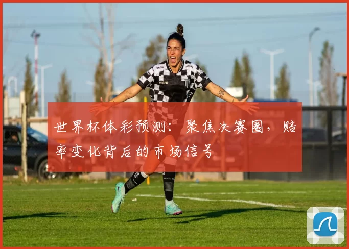世界杯体彩预测:聚焦决赛圈,赔率变化背后的市场信号