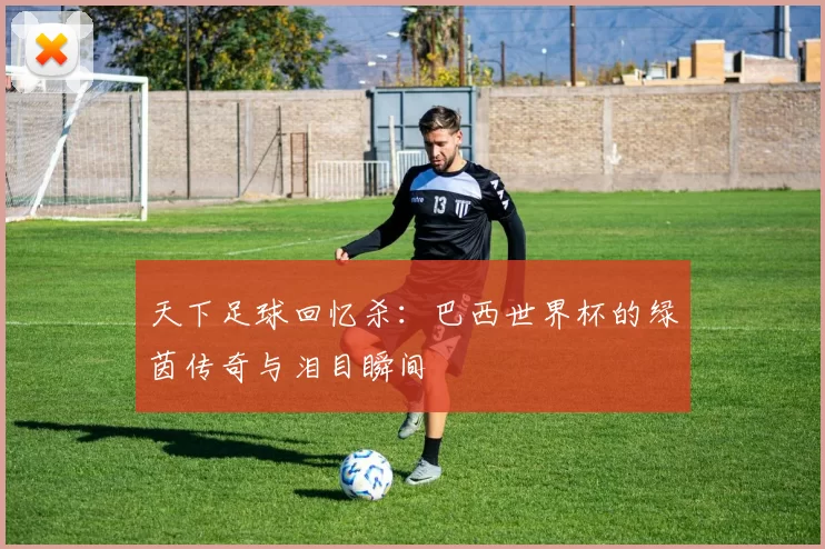 天下足球回忆杀：巴西世界杯的绿茵传奇与泪目瞬间