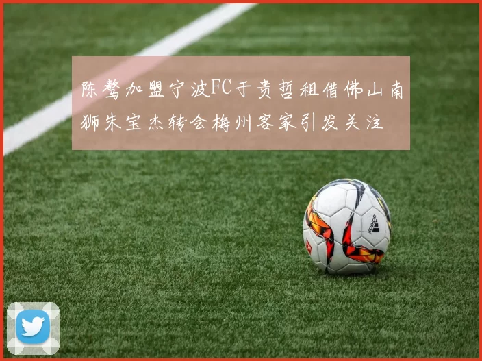 陈骜加盟宁波FC于贵哲租借佛山南狮朱宝杰转会梅州客家引发关注