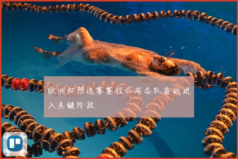 欧洲杯预选赛赛程公布各队备战进入关键阶段
