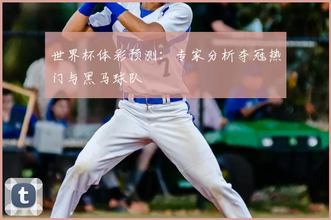 世界杯体彩预测:专家分析夺冠热门与黑马球队