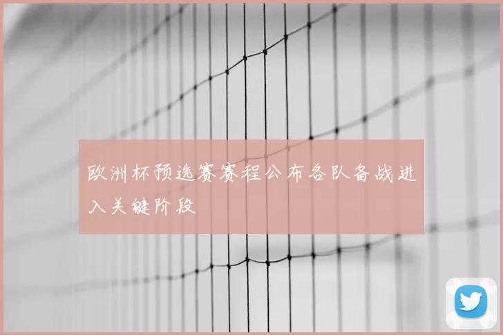 欧洲杯预选赛赛程公布各队备战进入关键阶段